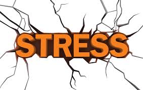 Why are we so stressed out? 